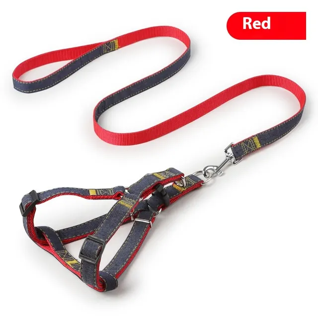 Pipitao Dog Leash Pet Supplies Red Type A Set - Shop at LoveMi