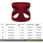 Wine Red Single Chest And Back