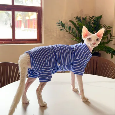 Pet Cool Thin Breathable Cat Four legged Clothing Blue And Purple - Shop at LoveMi