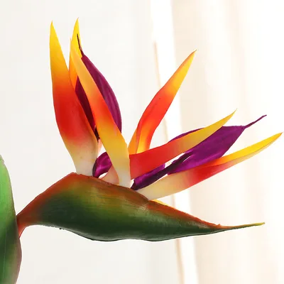 Soft Rubber Hand Feeling Artificial Flower Bird Of Paradise Large Branch Fake Plastic Flower Sunset Red - Shop at LoveMi
