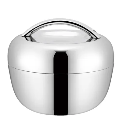 Stainless Steel Lunch Box Portable Double layer Insulated Bento Box Silver Handle - Shop at LoveMi