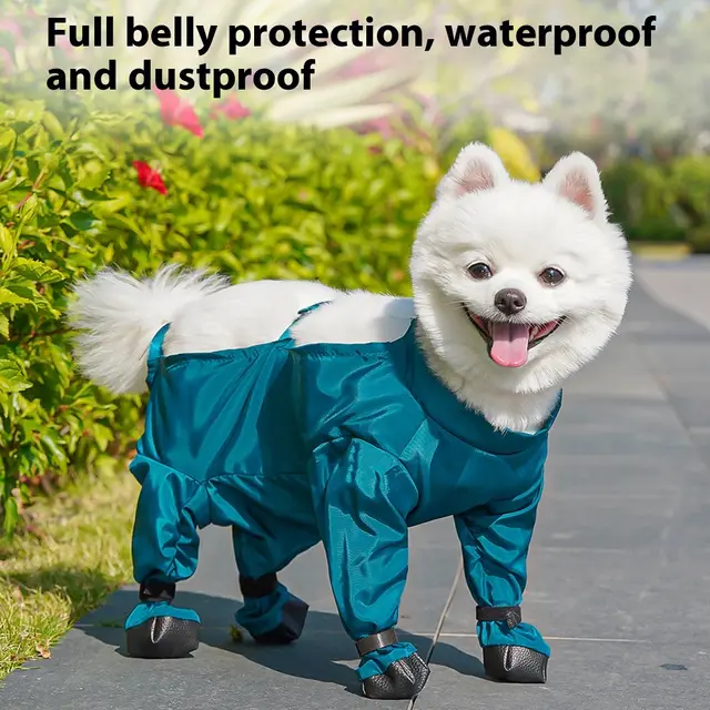 Pet Diaper Bag Belly Jumpsuit Dustproof Pants Peacock Blue - Shop at LoveMi