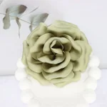 Gray Green