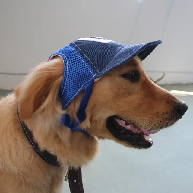 Sunshade Net Breathable Pet Baseball Cap Blue - Shop at LoveMi