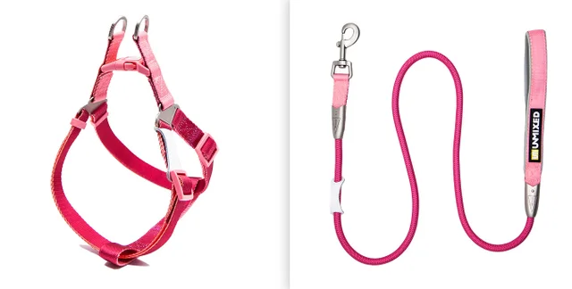 Contrast Color Hand Holding Rope Chest And Back Collar For Going Out Chest Strap Rose Red Set - Shop at LoveMi