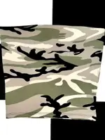 Army Green 1