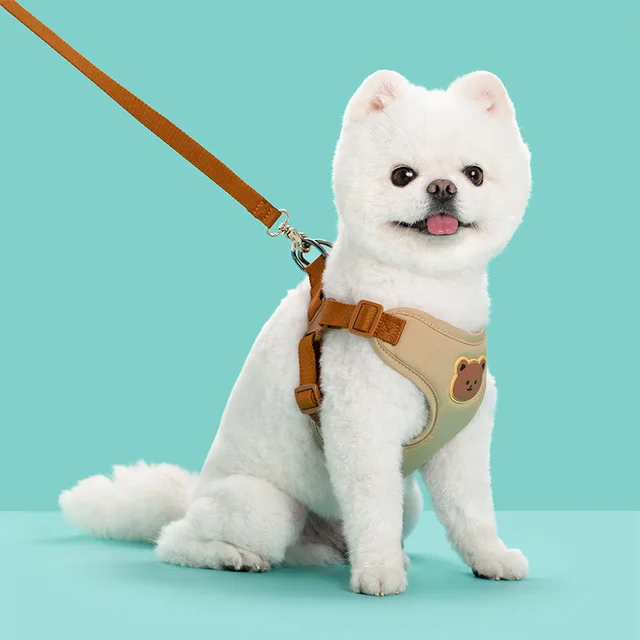 Outing Dog Leash Pet Strap 002 Bear Head Beige - Shop at LoveMi
