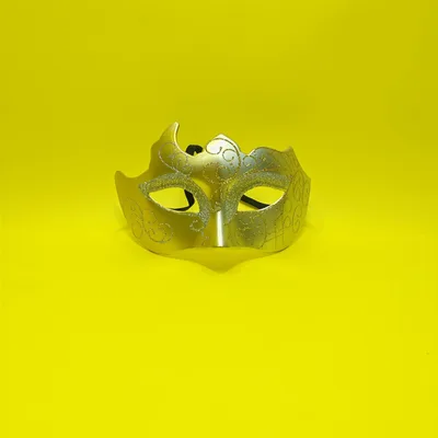Carnival Painted High end Half Face Mask Horn Gold Half Silver - Shop at LoveMi