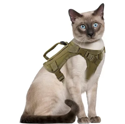 Cat Chest Strap Vest Hand Holding Rope Army Green - Shop at LoveMi
