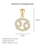 Cancersingle Pendant