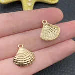 Gold Shell 16 X16.5Mm