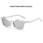Silver Frame Silver