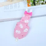Pink Rabbit