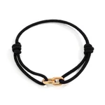 Golden And Black 02320