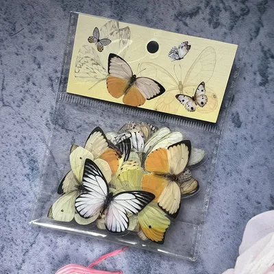 Cute Butterfly Sticker Package Yingge Disc Dance Series Pet Transparent Yellow Dish - Shop at LoveMi