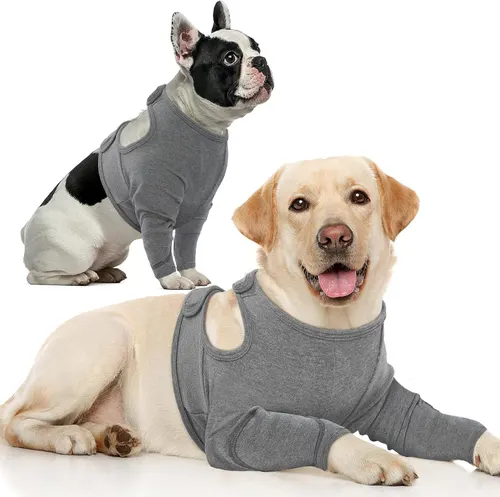 Pet Protective Gear Dog Front Leg Double Protective Gear Protective Cover Light Gray - Shop at LoveMi