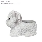 Flower Pot Creative Gardening Micro Landscape Garden Decoration - White