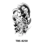 Tbs8250