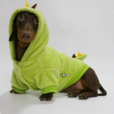 Halloween Crossdressing Little Dinosaur Double sided With Velvet Thermal Hooded Sweatshirt Green - Shop at LoveMi