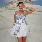Tube Top Short Skirt