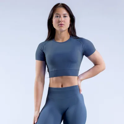 Nylon Fabric High Wicking Fitness Short Sleeve Blue And Gray - Shop at LoveMi
