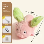 Pig Liye Pink Green