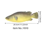 Yellow Croaker
