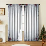 Curtain 13