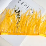 11 Golden Yellow