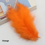 25 Orange
