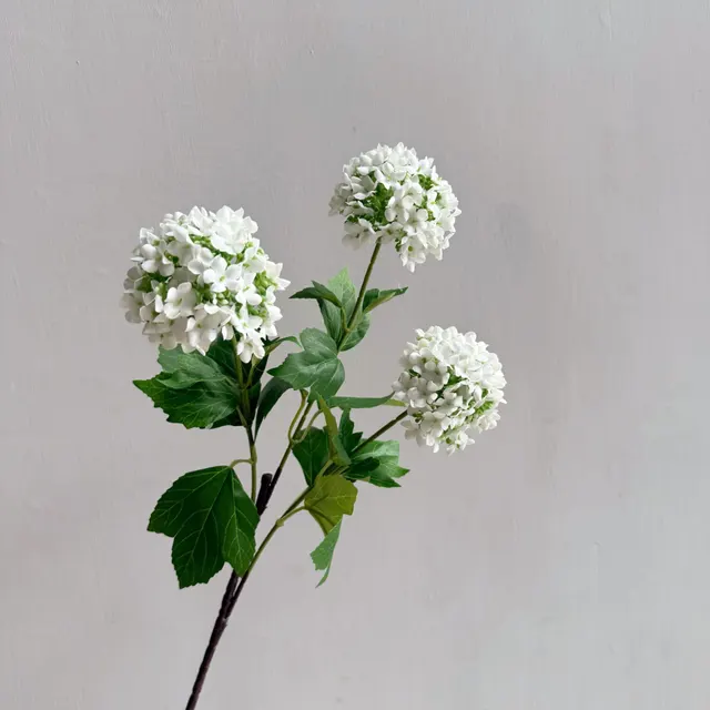 Flowers Hydrangeas SnowballsSmall Home Furnishings White - Shop at LoveMi