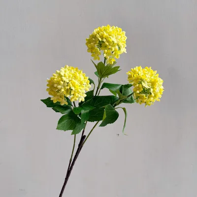 Flowers Hydrangeas SnowballsSmall Home Furnishings Yellow - Shop at LoveMi