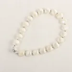 Shell Silver