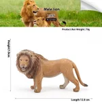 Simulation Wild Animal Model Solid Plastic Decoration Children's Toy Cognition - Male Lion