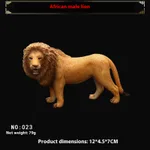 African Lion