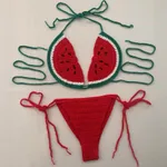 Trendy Sexy Cute Handmade Crocheted Bikini - Intercolor-Average Size