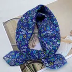 Cineraria Dark Blue