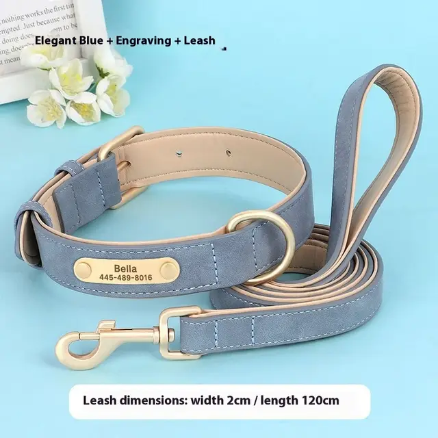 Creative And Versatile Double layer Leather Pet Dog Collar Blue - Shop at LoveMi