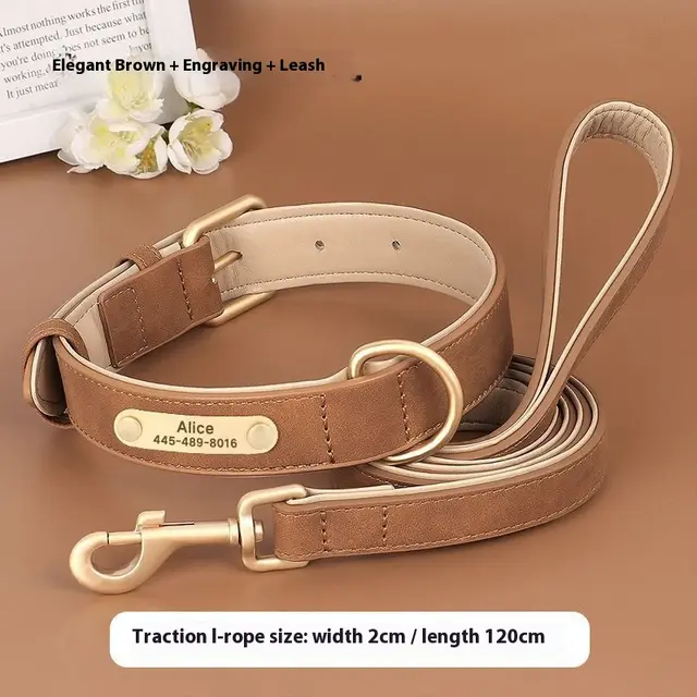 Creative And Versatile Double layer Leather Pet Dog Collar Brown - Shop at LoveMi