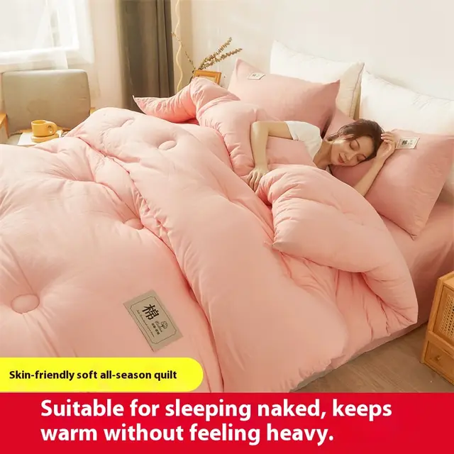 Airable Cover Double Thickened Cotton Duvet Insert Upgraded Rouge Jade - Shop at LoveMi