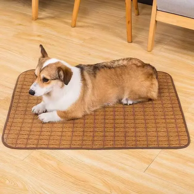 Summer Pet Cooling Supplies Sleeping Mat Brown - Shop at LoveMi