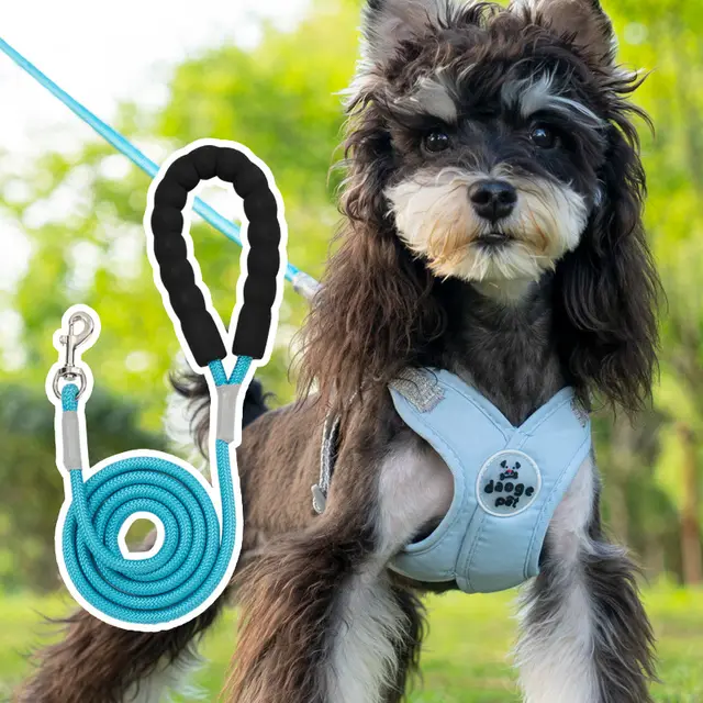 New Pet Vest Hand Holding Rope Blue - Shop at LoveMi