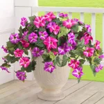 12 Fork Plastic European Courtyard Outdoor Garden Flower Container - Rose Red