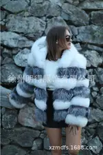 White Silver Fox Color