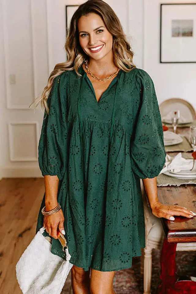 Blackish Green Embroidered Eyelet Pattern Puffy Sleeve Swing Mini Dress Green - Shop at LoveMi