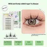Rabbit Xiaoye