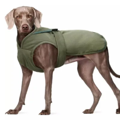 Dog Windproof Jacket With Fleece For Warmth And Waterproof Army Green - Shop at LoveMi