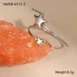 2 Star Steel Bracelet