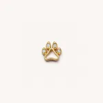 Dog'S Paw