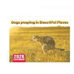 Grass Dog Poop